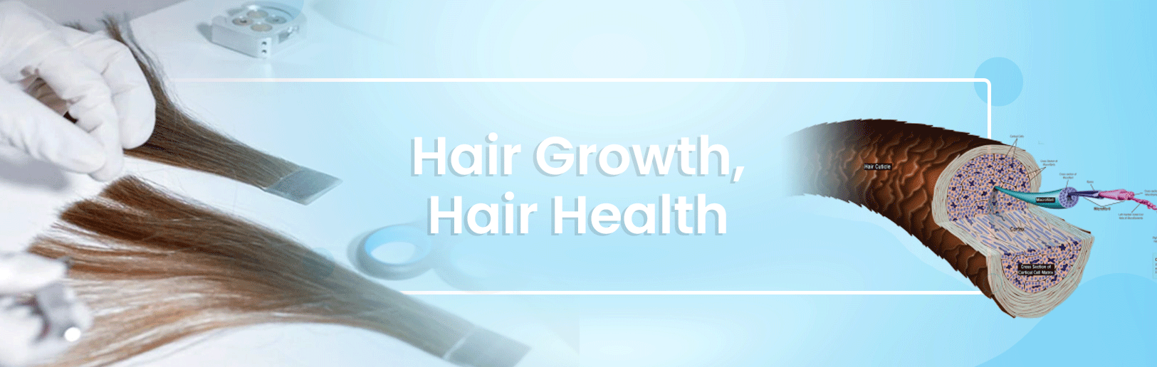 Hair Growth, Hair Health