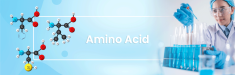 Amino Acids