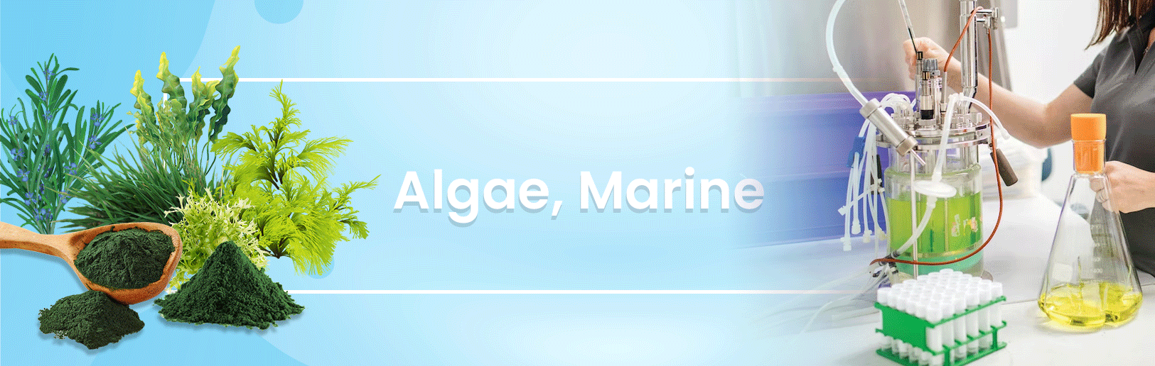 Algae, Marine