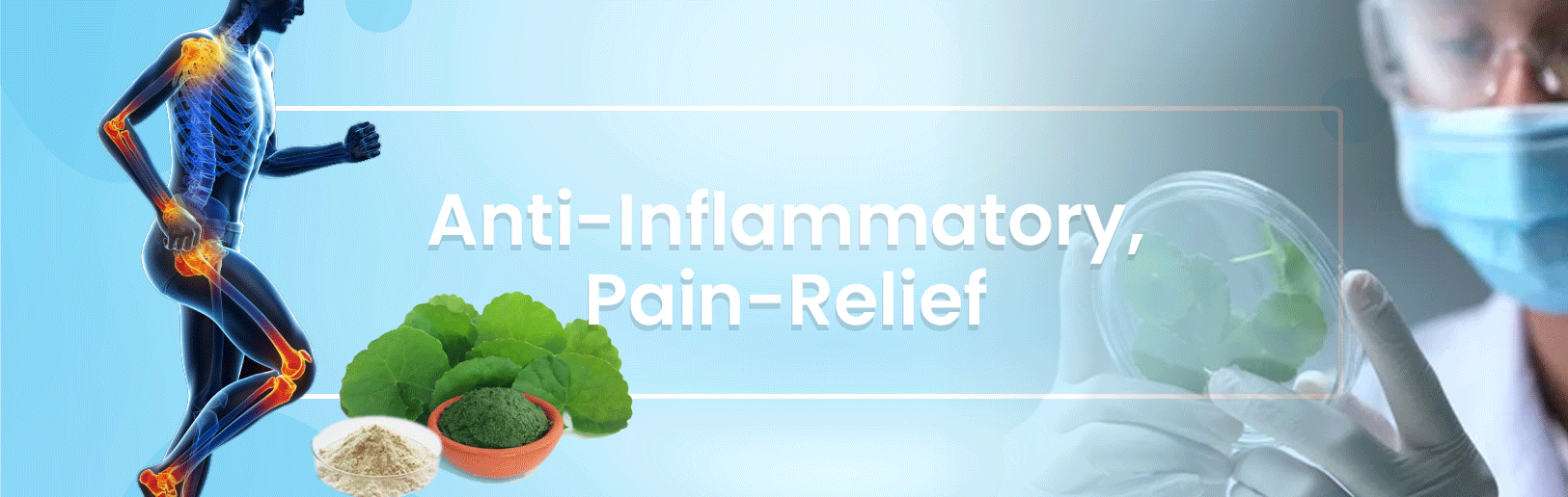 Anti-Inflammatory, Pain-Relief