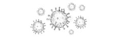 Anti-Virus