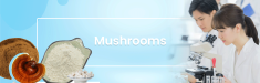 Mushrooms