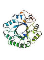 Mannanase Enzyme (30,000U/g)