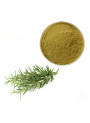 Rosemary Extract (Carnosic Acid 20%, Powder)