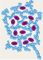 Oil-Fix™ W (Oil/Silicone, Silica Dimethyl Silylate)