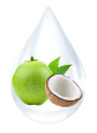 CocoSilk™ (Coco-Caprylate/Caprate)