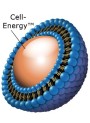 Adenosine Liposome