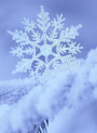 Water-Cool™ (Water-Soluble Cooling Agent)