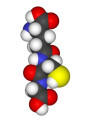 Glutathione (L-Glutathione Reduced)