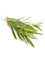 Tea Tree Oil (Australian)