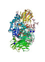 Beta-Galactosidase Enzyme (100,000U/g)
