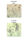 FucoCell™ (L-Fucose from Marine Seaweed)