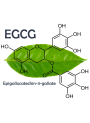 Micromul™ EGCG (Microemulsion Epigallocatechin Gallate)