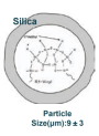 SiliSilk™ WO (Water/Oil Dispersible Silicone Powder)