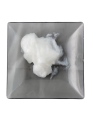 Sucrose Cocoate (Sugar + Coconut Surfactant)