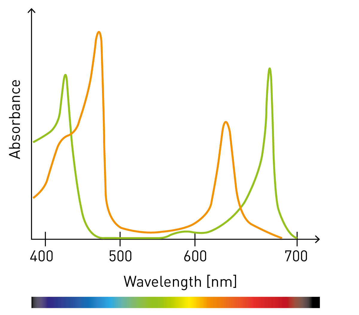 uv-vis-bakuchiol-content-measurement