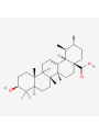 Hi-Ursolic™ (Ursolic Acid 40%, Oleanolic Acid 10%)