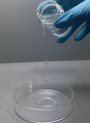 MYFerment™ Balance (Saccharomyces Ferment Filtrate)