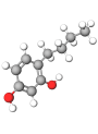 Activated Resorcinol™ (4-Butyl Resorcinol)