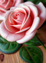 Rose Base (Economy)