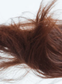 Heat Activating Hair Collagen (Hydrolyzed Collagen PG-Propyl Methylsilanediol)