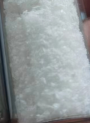 Salmon DNA (PDRN, Polydeoxyribonucleotide, 90% Freeze-Dried Floc)