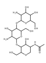 Chito-Film™ (Hydroxypropyl chitosan)