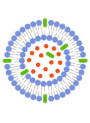 NanoRes™ (Liposome 4-Butyl Resorcinol, Nano Size)