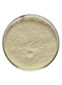 Tamarind Seed Scrub (สครับมะขาม 100Mesh)