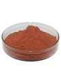 Grape Seed Extract (Proanthocyanidins 95%) สารสกัดเมล็ดองุ่น