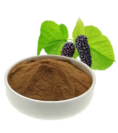 Mulberry Leaf Extract