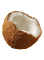 Coco-Preserve™ (Preservative from Coconut Extract)