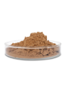 Protease Enzyme (for Washing/Cleaning, ชนิดผง)