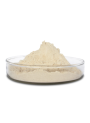Lipase Enzyme (Washing/Cleaning, ผง)