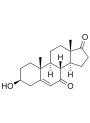 7-KETO DHEA