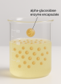 MaxActivate™ VC (Ascorbic Acid Enzymatic Activator)