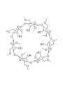Methyl Beta Cyclodextrin (MβCD)