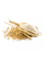 Starch Care™ (Maltooligosyl Glucoside)