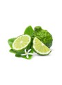 Bergamot Flavor (Water Soluble Powder)