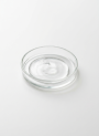 Copolymer 845 (VP/Dimethylaminoethylmethacrylate Copolymer)