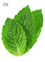 Peppermint Oil (Essential Oil, Cosmetics Grade)