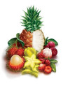 Bescents F (fruit - ผลไม้)