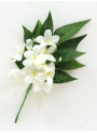 Jasmine Fragrance Oil