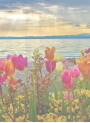 Beach Garden