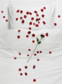 Rosy Linen