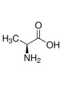 L-Alanine