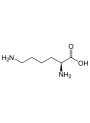 L-Lysine (Base)