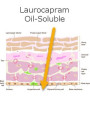 Laurocapram (Oil Soluble)