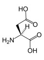 L-Aspartic Acid