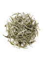 White Tea Absolute